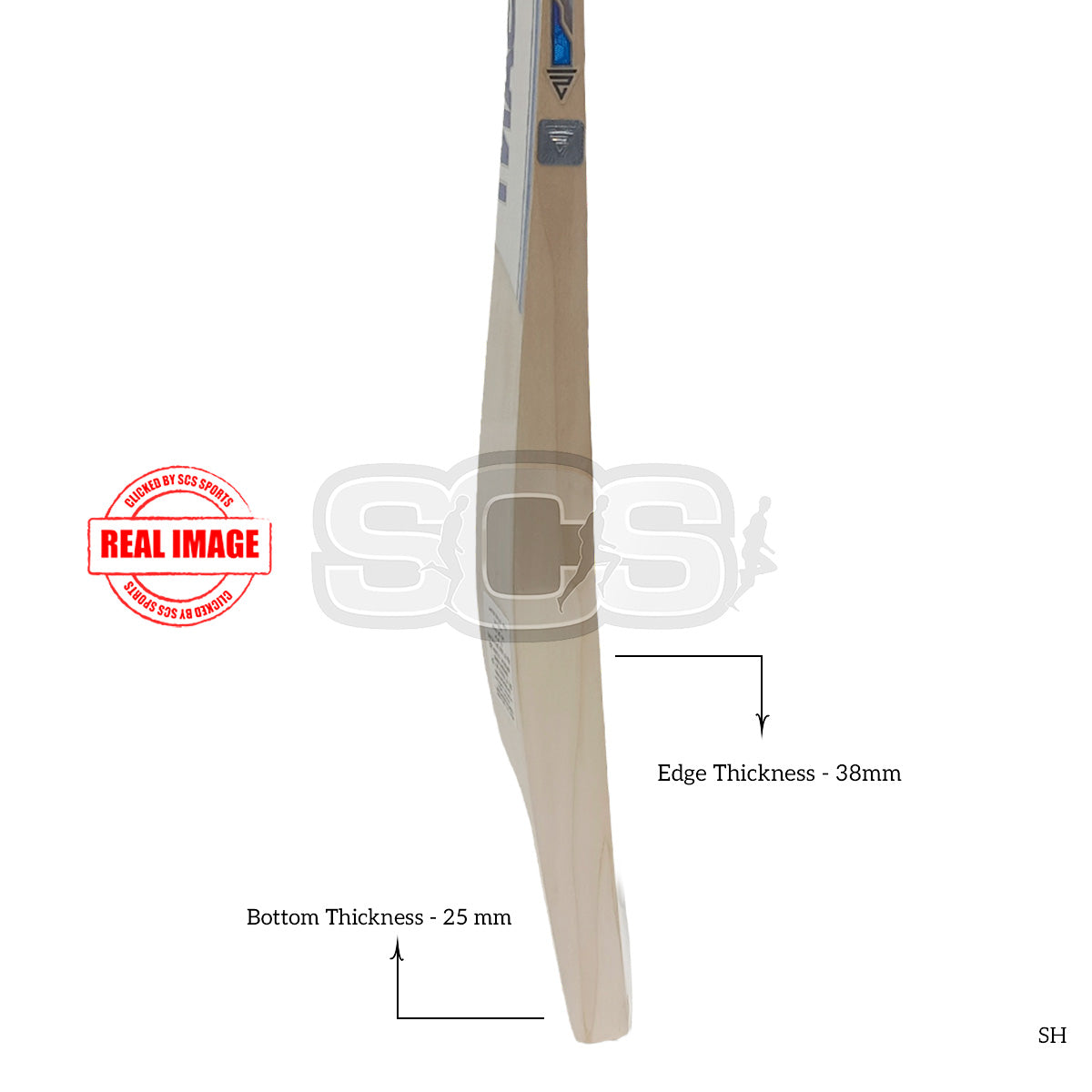 Versant Pro DG Series English Willow Cricket Bat