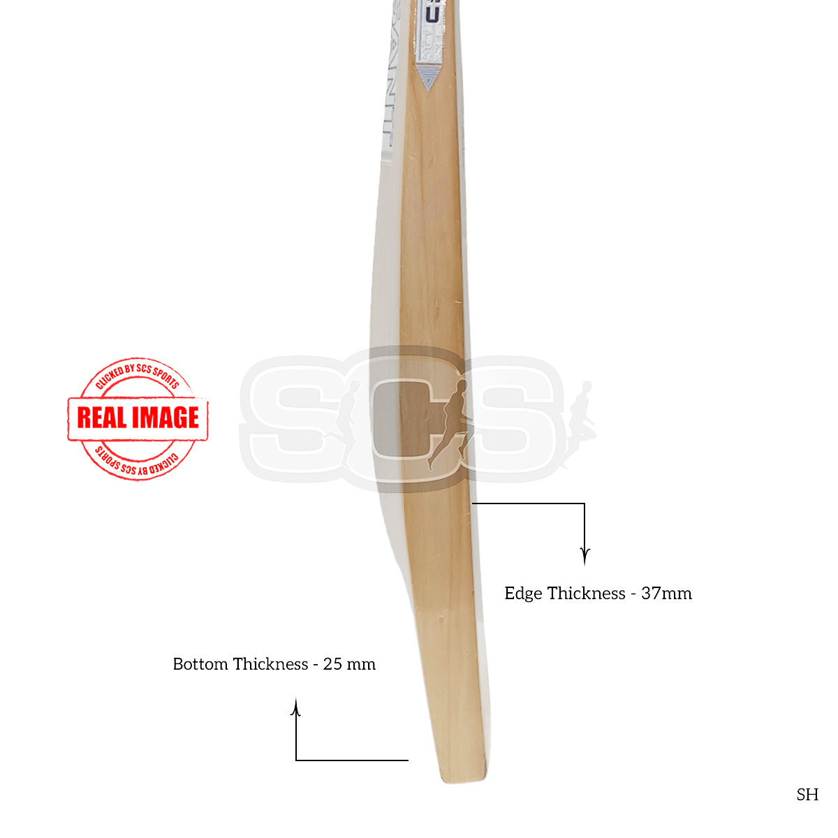 Versant Goat Players Edition English Willow Cricket Bat
