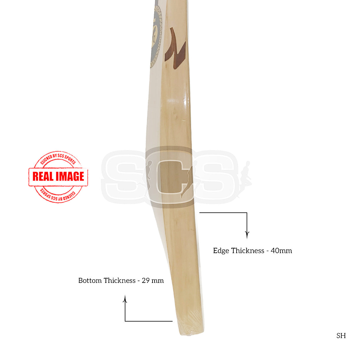 SG King Cobra Arc 1.0 English Willow Cricket Bat