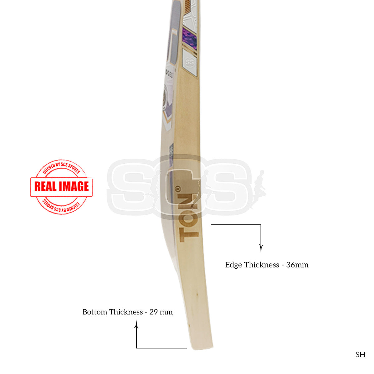 SS Dynasty English Willow Cricket Bat