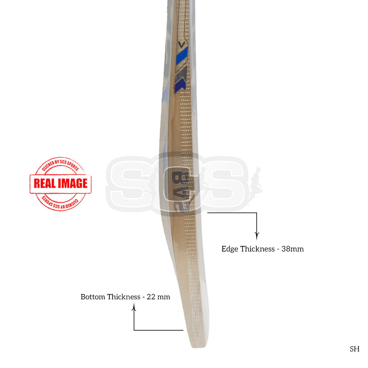 BAS Vampire Trainer English Willow Cricket Bat