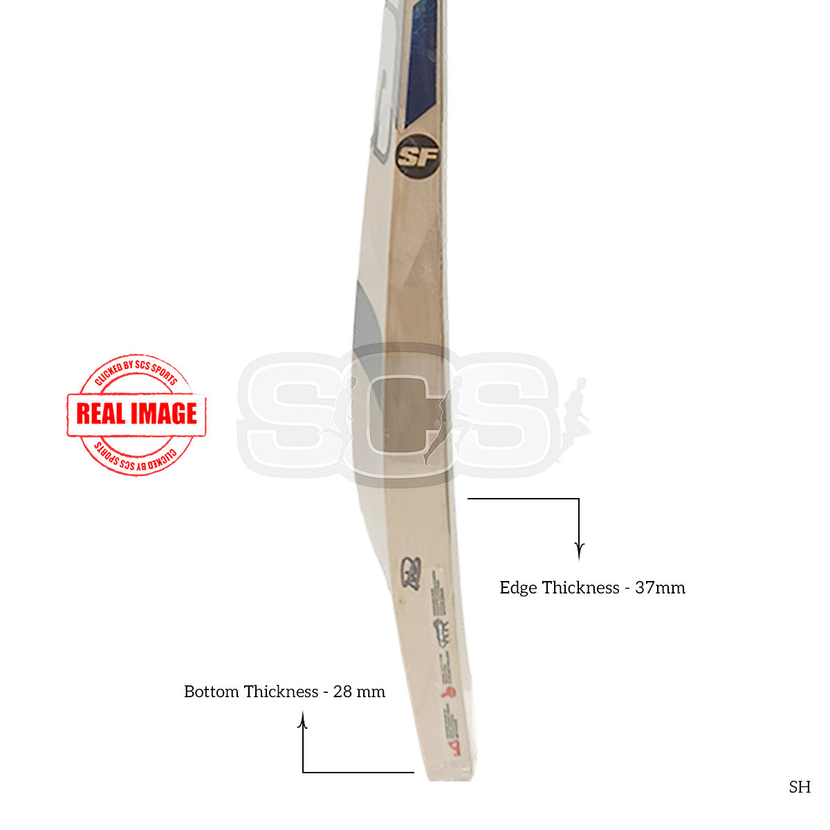 SF Steller 2000 English Willow Cricket Bat