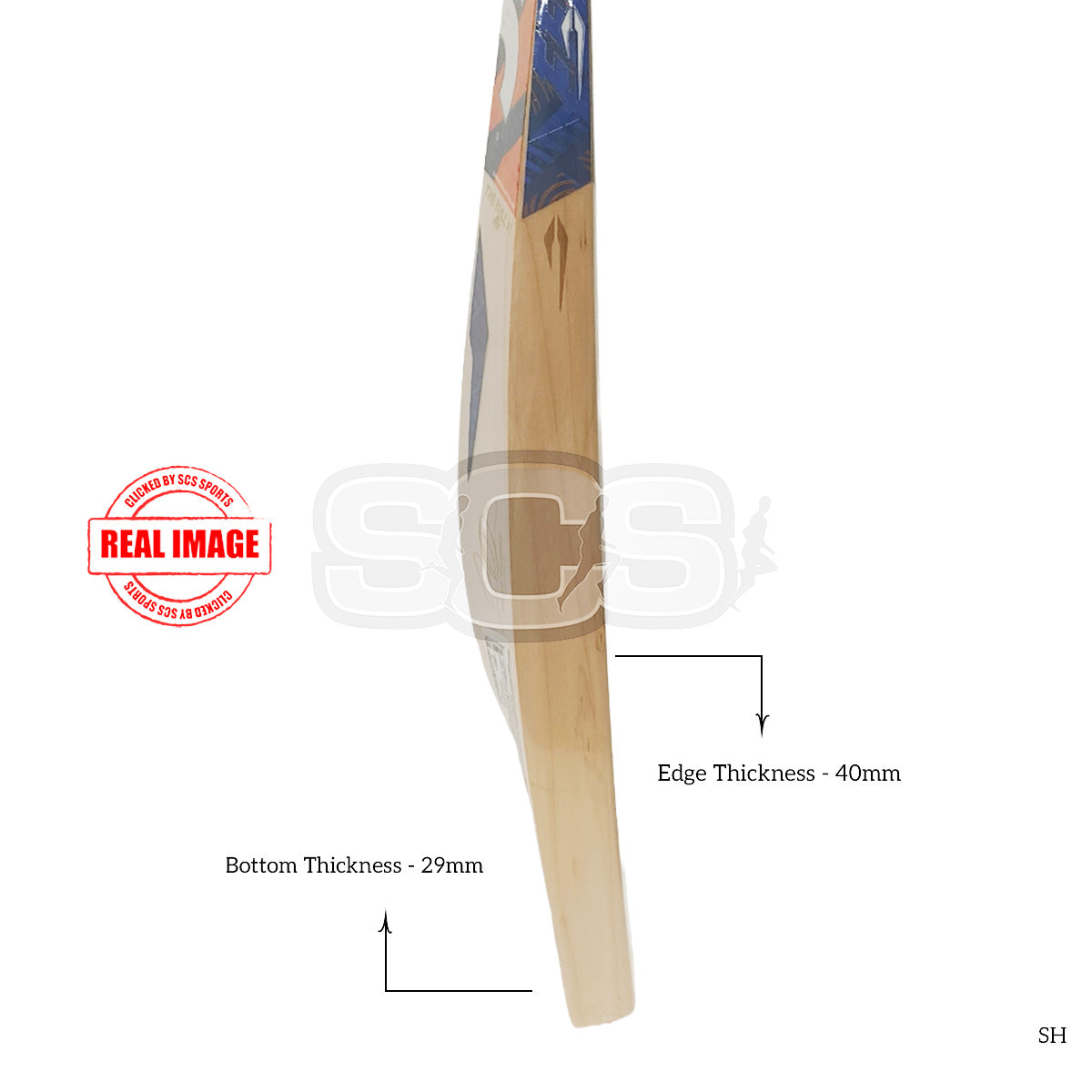DSC Krunch Bull 31 Player Edition English Willow Cricket Bat