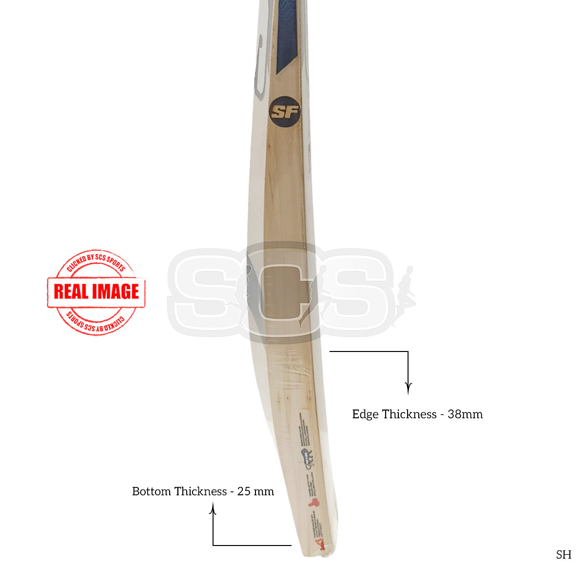 SF Steller 3000 English Willow Cricket Bat