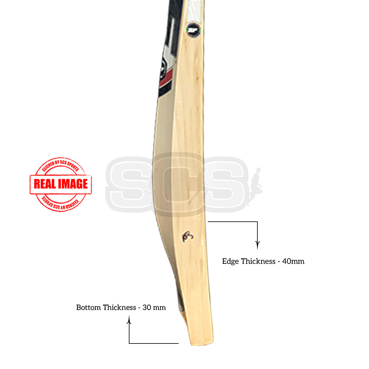 SF AL-10000 English Willow Cricket Bat