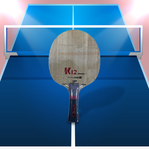 Friendship 729 Advance K12 Energy Table Tennis Ply Front Image