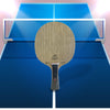 Friendship 729 Z-2 Table Tennis ply