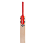 Gray-Nicolls GN7 Astro English Willow Cricket Bat