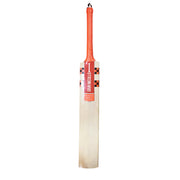 Gray-Nicolls GN5.5 Cobra English Willow Cricket Bat