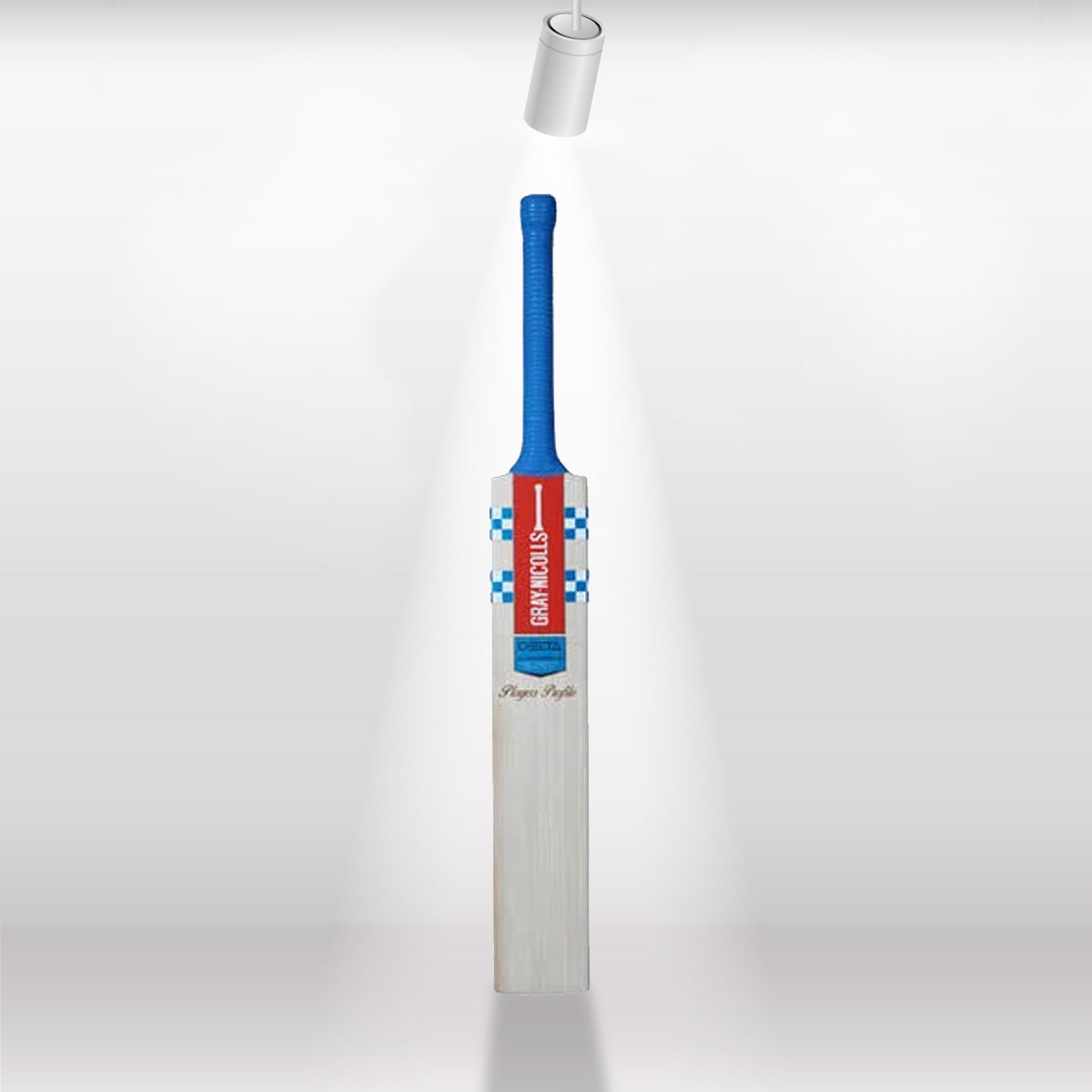 Gray-Nicolls Player Profile English Willow Cricket Bat