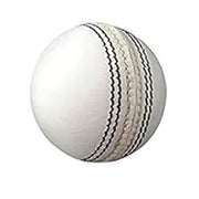 Gravity Test White Cricket Ball