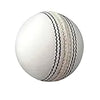 Gravity Test Cricket Ball (White)