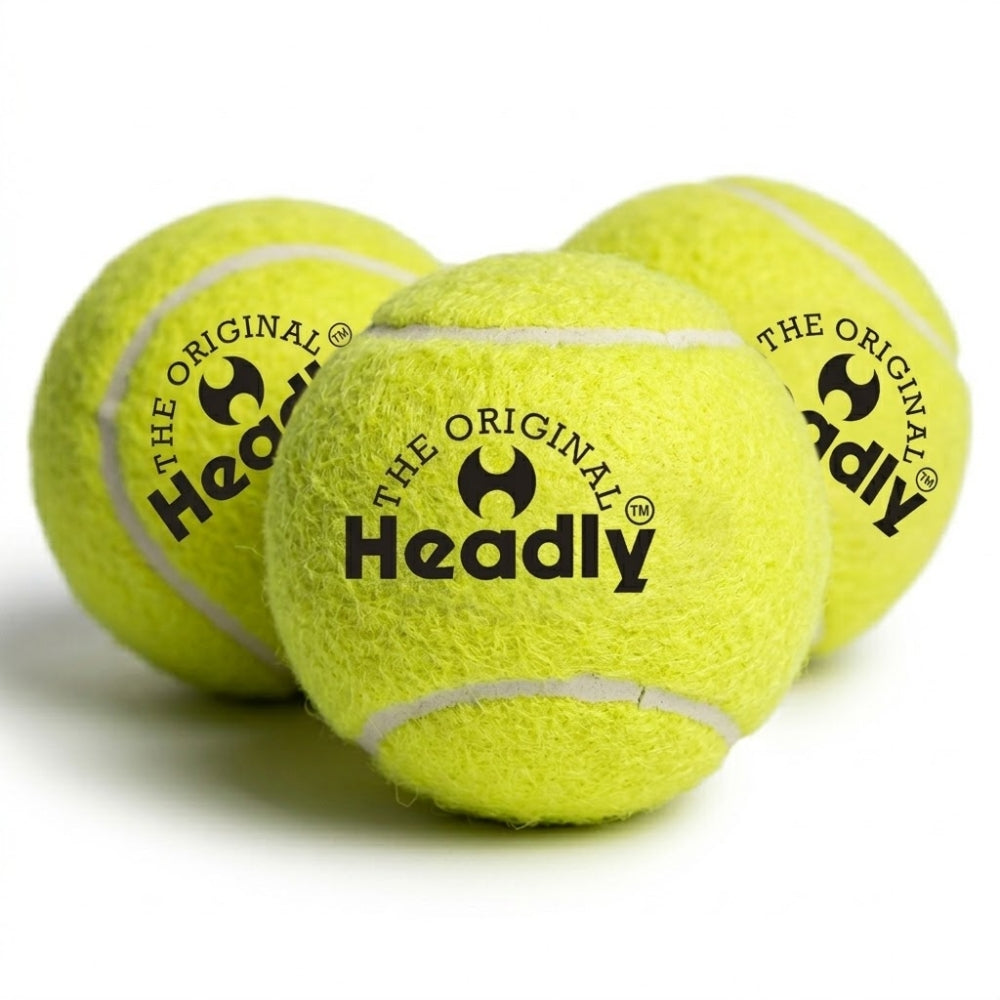 Headly Heavy Cricket Ball