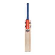 Gray-Nicolls Ignite Vapour English Willow Cricket Bat