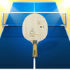 Joola Tezzo Paladin FL Table Tennis Ply