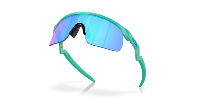 Oakley Resistor Eyewear