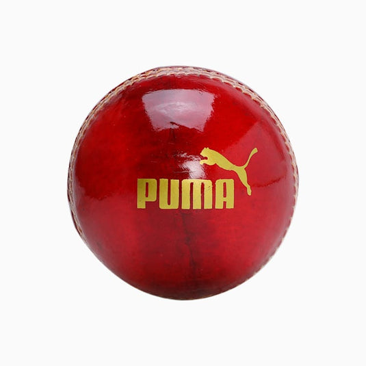 Puma Intense Red Cricket Ball