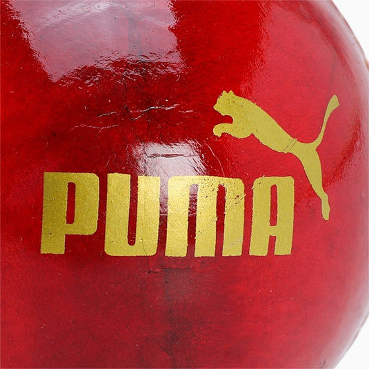 Puma Intense Red Cricket Ball