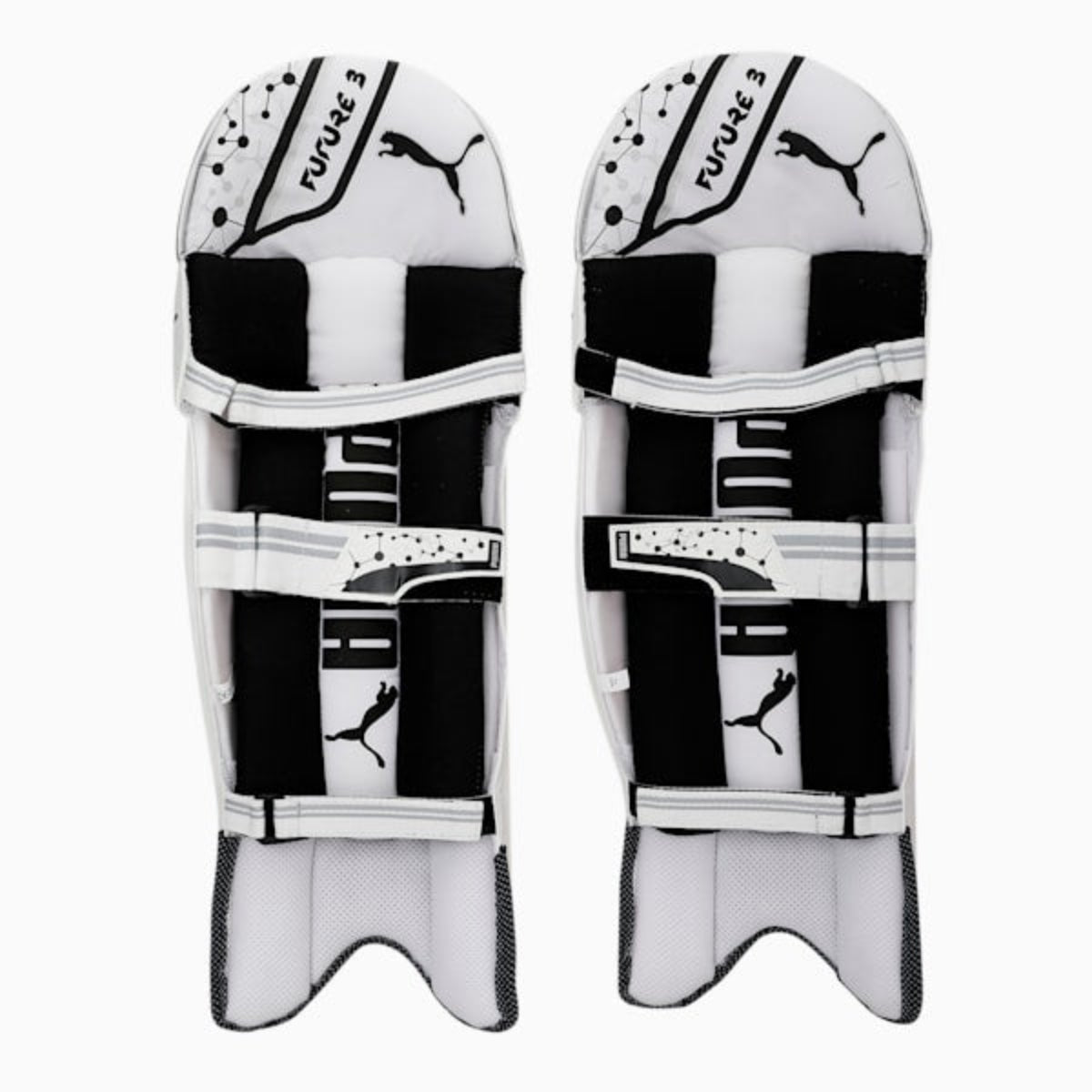 Puma Future 20.3 Batting Pads Back Image
