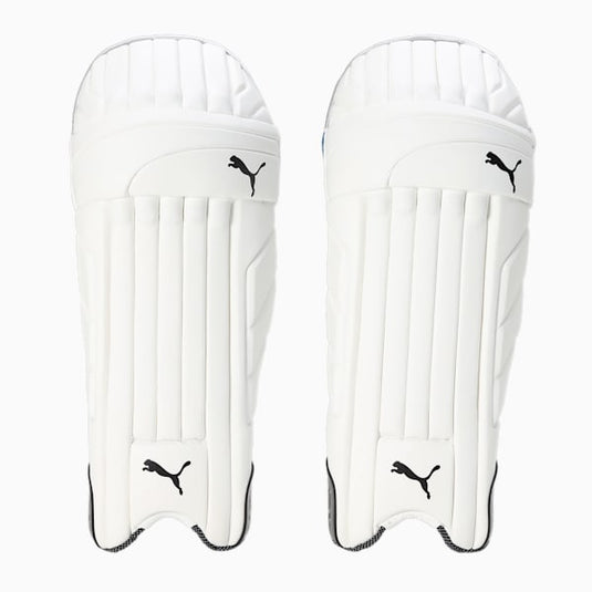 Puma One Batting Pad – SCS Sports