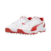 Puma Spike 24.2 Cricket Shoes