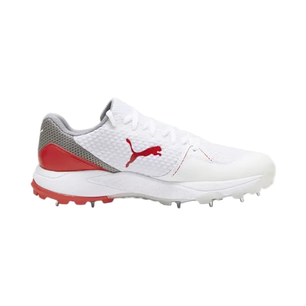 Puma Spike 24.1 Cricket Shoes
