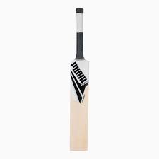 Puma Future 20.2 Kashmir Willow Cricket Bat