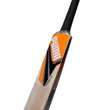Puma Future 1.0 JNR Kashmir Willow Cricket Bat