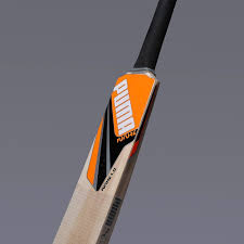 Puma Future 1.2 JNR Kashmir Willow Cricket Bat