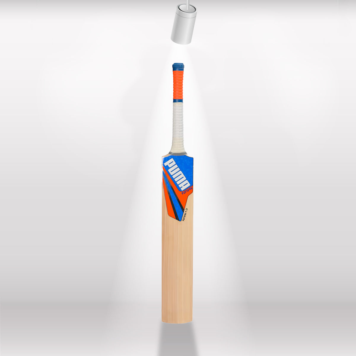 Puma Future 1.3 English Willow Cricket Bat