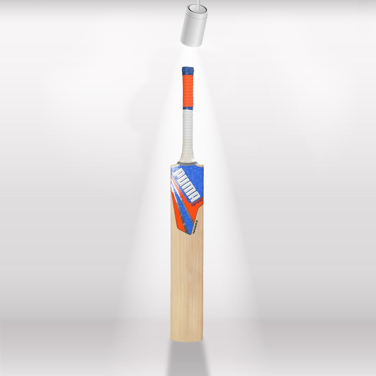 Puma Future 2.2 English Willow Cricket Bat