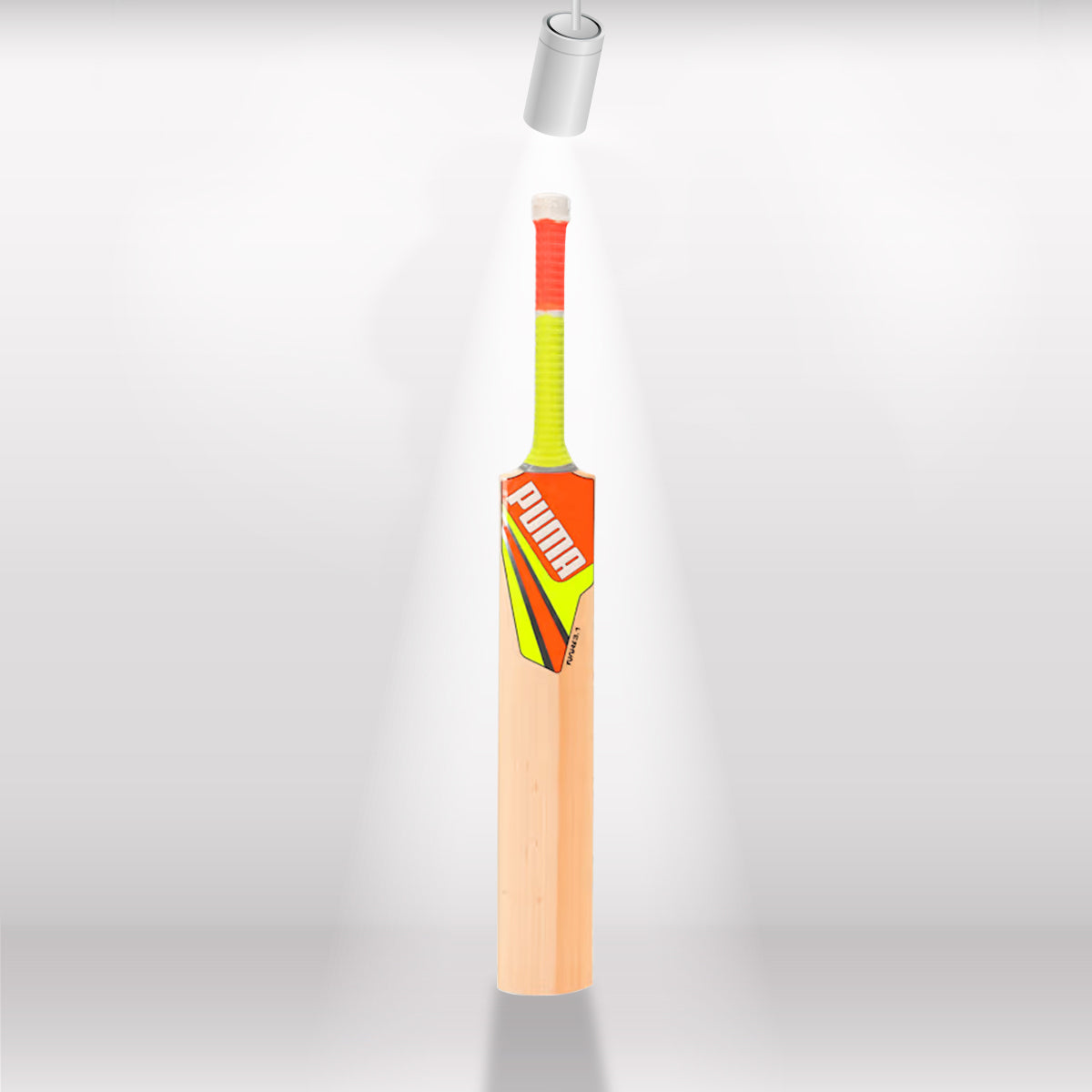 Puma Future 3.1 English Willow Cricket Bat