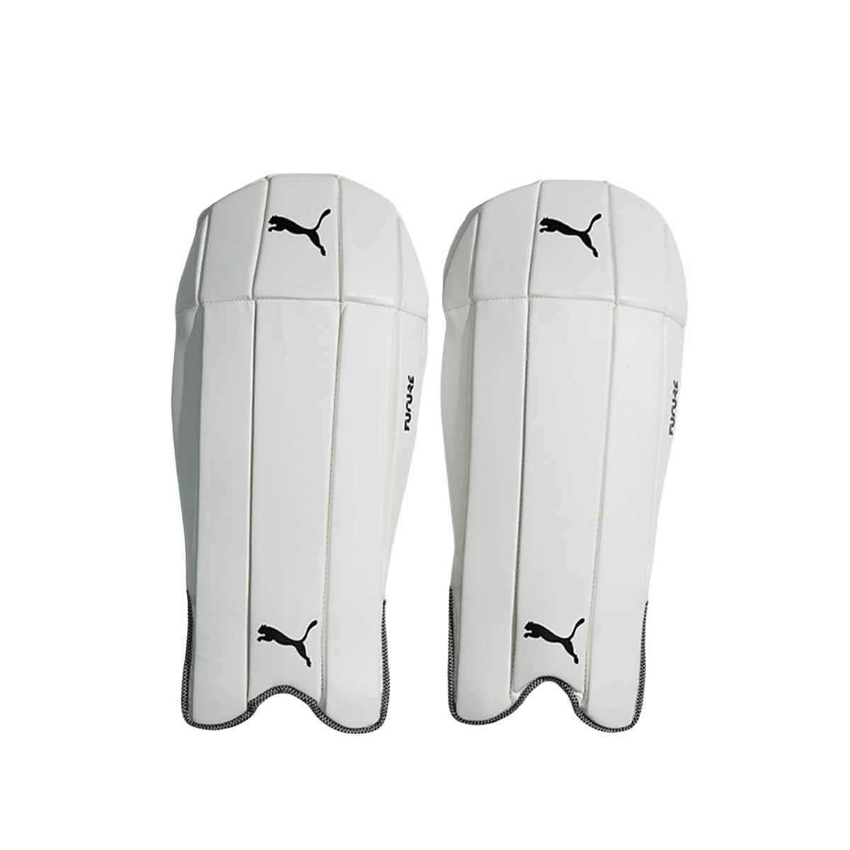 Puma Future 3 Keeping Pad