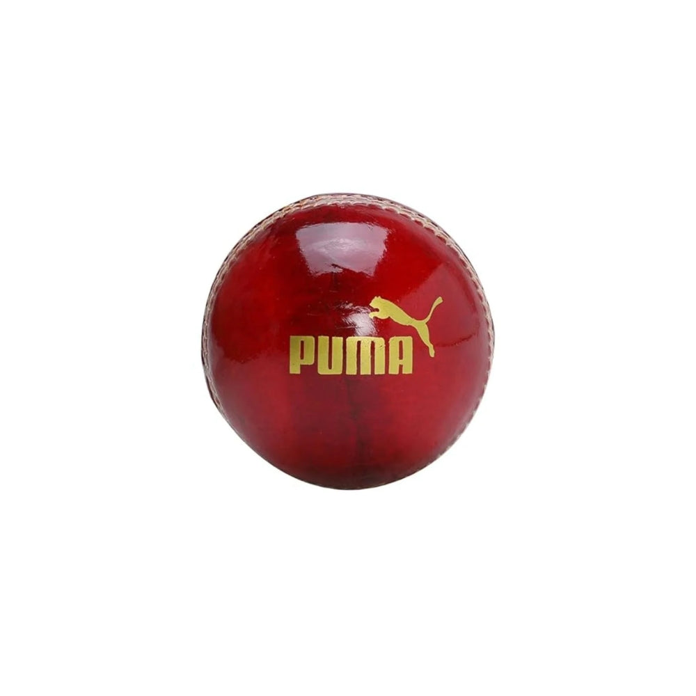 Puma Cricket Ball