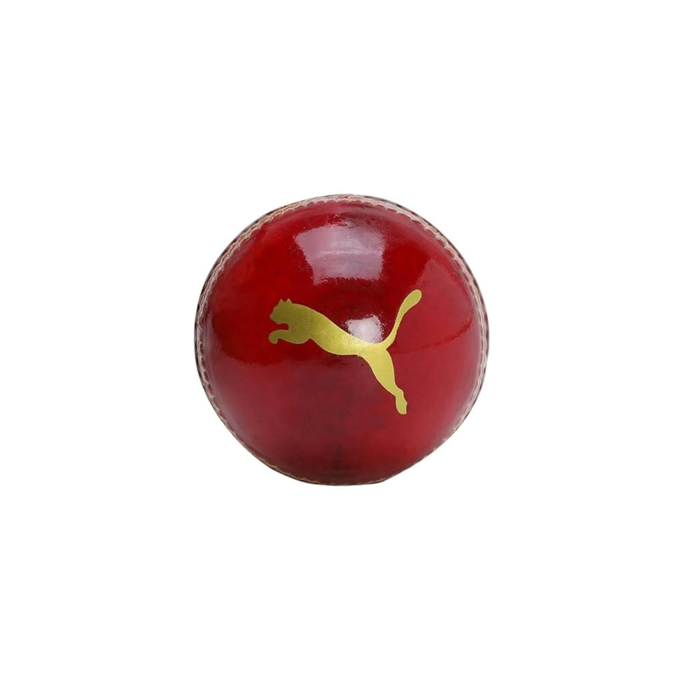 Puma Cricket Ball