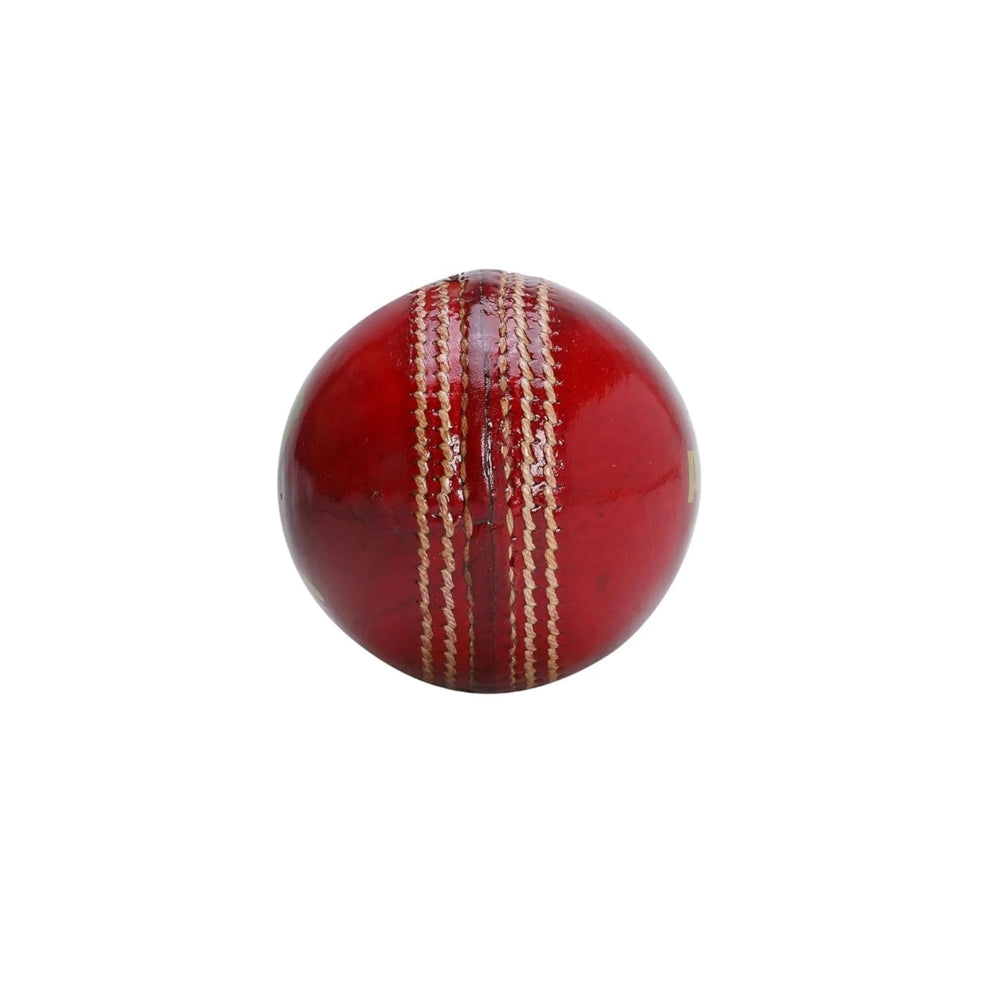 Puma Cricket Ball