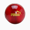 Puma Intense Red Cricket Ball