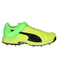 Puma Evospeed Spike Cricket Shoes