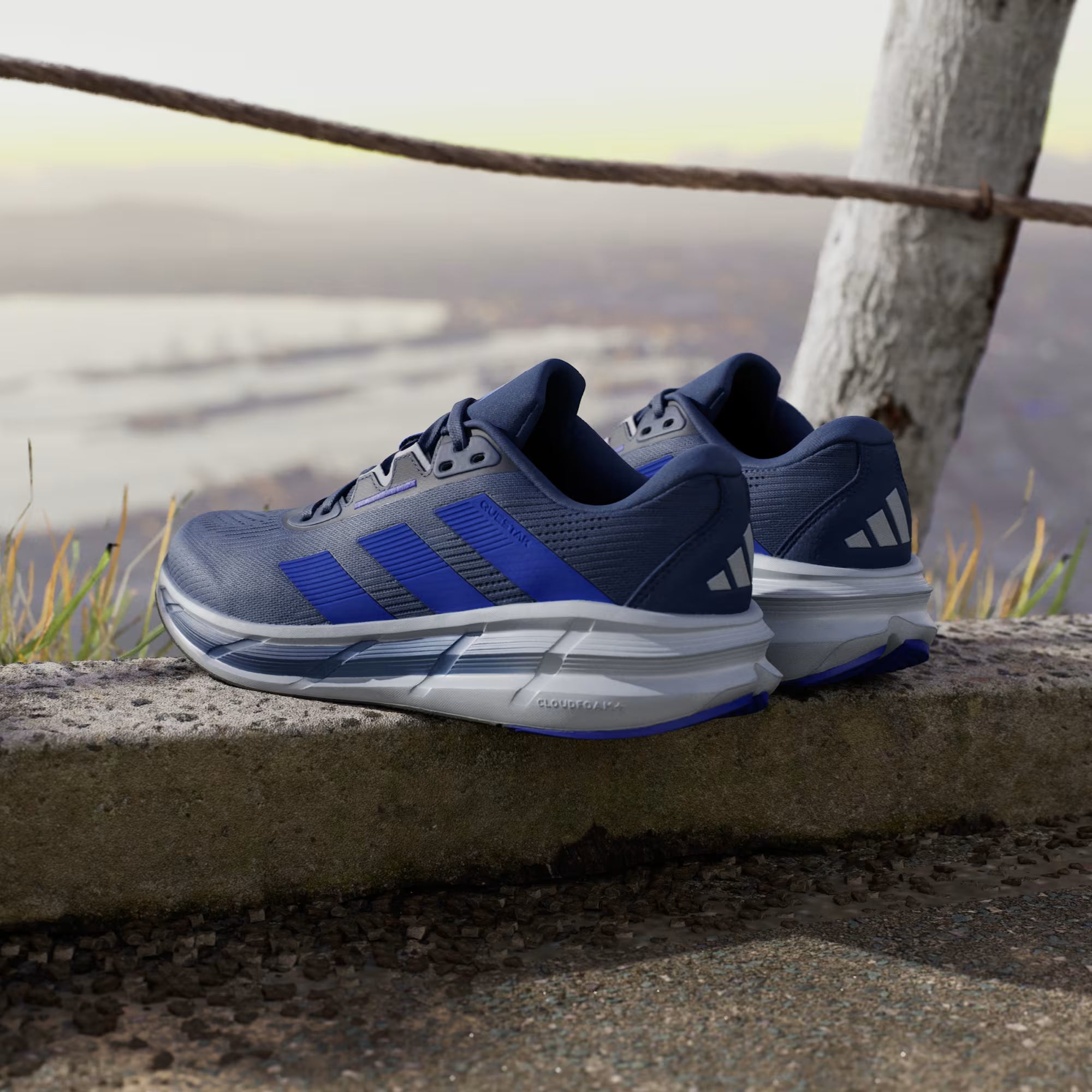 Adidas Questar 3 Running Shoes