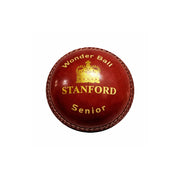 SF Wonder Cricket Ball