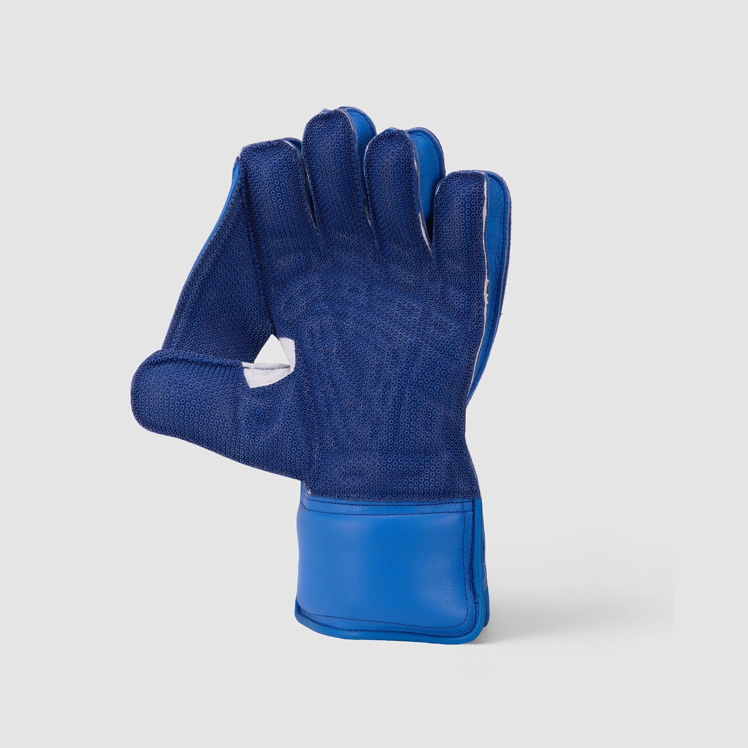 SG KLR 1 Cricket Keeping Gloves