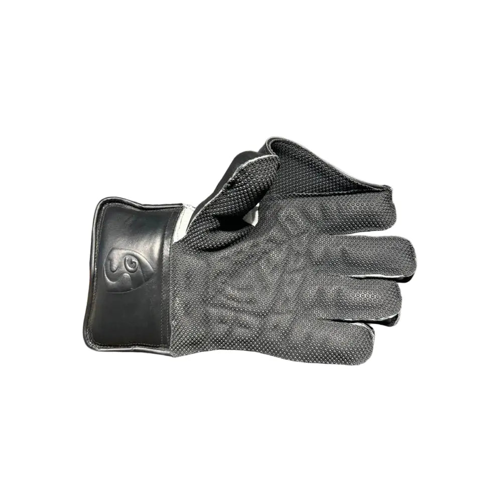 SG Test Cricket Keeping Gloves