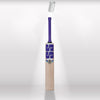 SS Champion English Willow Cricket Bat