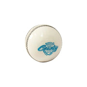 SS County Cricket Ball (White)