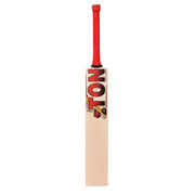 SS Ton Vertu English Willow Cricket Bat Front View Bat With White Background Spot Light 