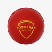 SG Everlast Cricket Ball