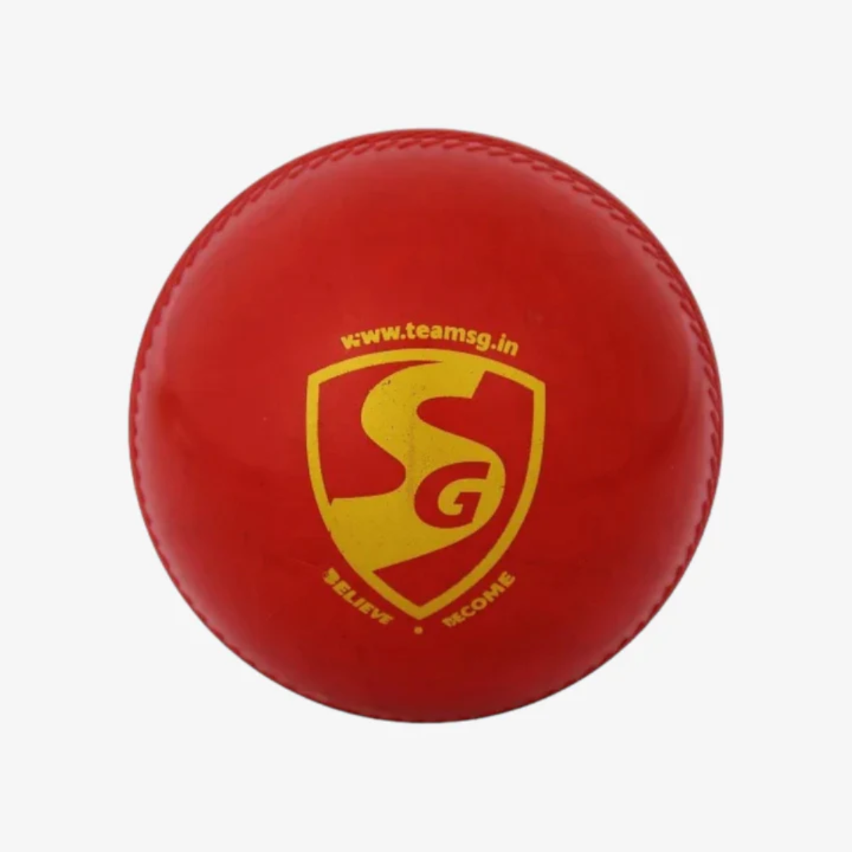 SG Everlast Cricket Ball