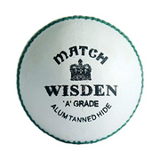 Wisden Match Special Cricket Ball
