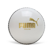 Puma Pithc Pro Pu Cricket Ball