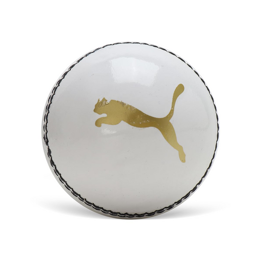 Puma Pithc Pro Pu Cricket Ball